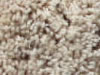 freize carpet sample