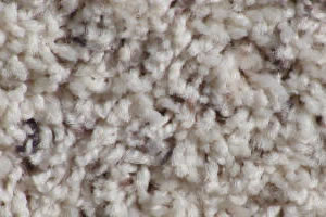 Freize Carpet Sample