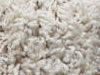 freize carpet sample