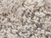 freize carpet sample