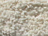 freize carpet sample