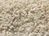 freize carpet sample