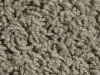 Freize Carpet Sample