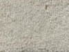 Plush Velvet Stainmaster Carpet