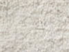 Plush Velvet Stainmaster Carpet