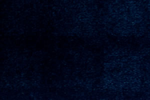 commercial carpet sample