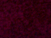 commercial carpet sample