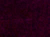 commercial carpet sample