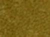 commercial carpet sample
