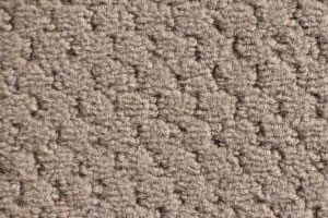 commercial carpet sample